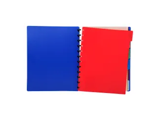 Tabbladen PP A4 voor showalb/ring 6 tabs - 1
