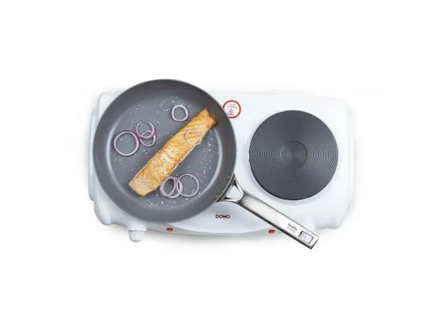 Elektrische Kookplaat 2 Pits 6 Standen 1000-1500W Wit