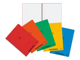 Schrift Aurora A4 ruit 5x5mm 120 pagina's 80gr assorti - 1