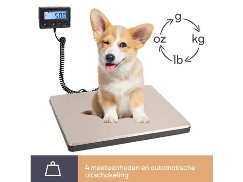 Digitale Postweegschaal Met Extern Display - 100kg / 10g