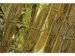 Reddingsdeken First Aid Only 160x210cm goud/zilver 2100x1600mm