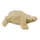 Figuur Décopatch schildpad 11x8.5x3.5cm