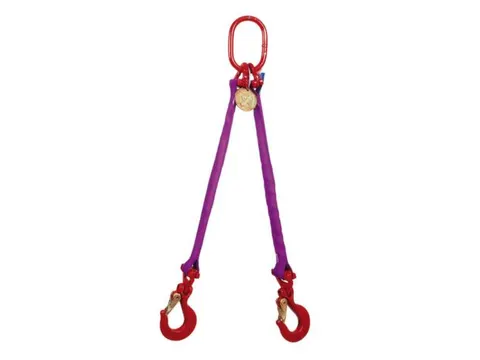 Hijsstroppen 2-Sprong Draagvermogen 0-45° 1 4T Nuttige L 2M Paars