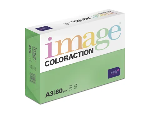 Kopieerpapier Dublin Donkergroen A3 80 Gram 500 Vel