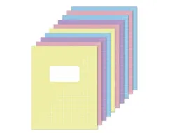 Schrift Kangaro A5 ruit 10mm 80pagina's 60gram 10stuks pastel assorti