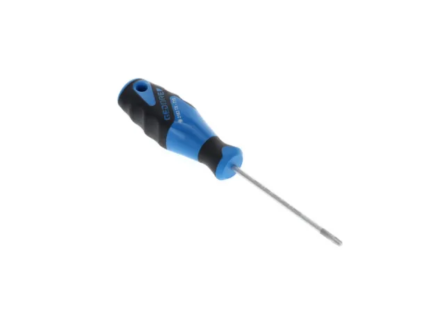 2163 Schroevendraaier TX T15 3C