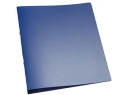 Ringmap A4 PP 2 Ringen 25mm Transparant Blauw