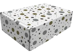 Cadeaupakketdoos Raadhuis 3 spetter 240x170x80mm krimp a 5 stuks