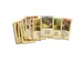 +Jeu de cartes Kolonisten van Catan 8+