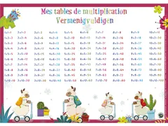 Sous-Mains Multiplications NL+FR42 x 30 cm