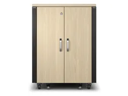 APC NetShelter CX AR4017IA - 17U, Geluiddempend en geventileerd 19 inc