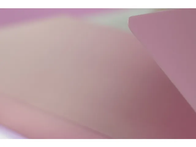 Elastomap Kangaro A4 PP volle kleur roze