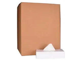 Papieren zakdoek 2-laags wit 100 tissues per doos, pak à 40 stuks - 2