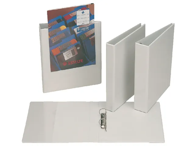 Presentatieringband Esselte A4 2 rings D-mech 20mm wit Voordeelbundel