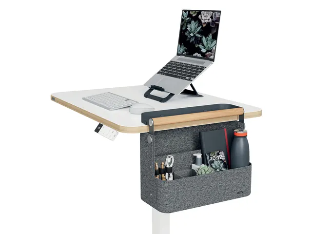 Leitz hangende draagbare bureau organizer met handvat donkergrijs
