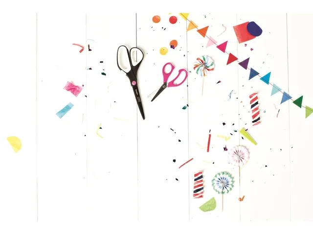 Schaar Scotch 20cm titanium blister