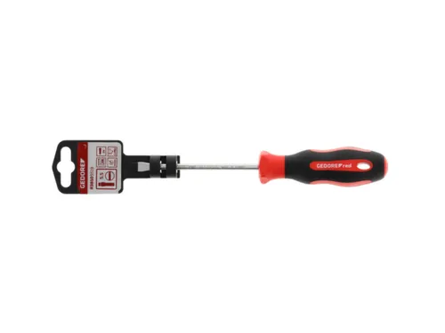 R38105519 2C schroevendraaier sleuf 5,5mm 1x100mm