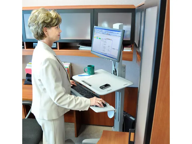 Werkstation 27 Inch Verrijdbaar Workfit-c Sit-stand Lcd Zwart