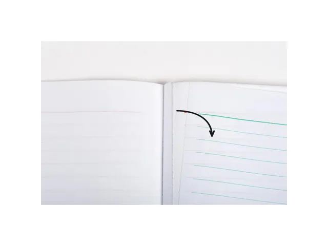 Manifold Devis Micro-entrepreneur 29,7x21cm 50 feuillets dupli autocop