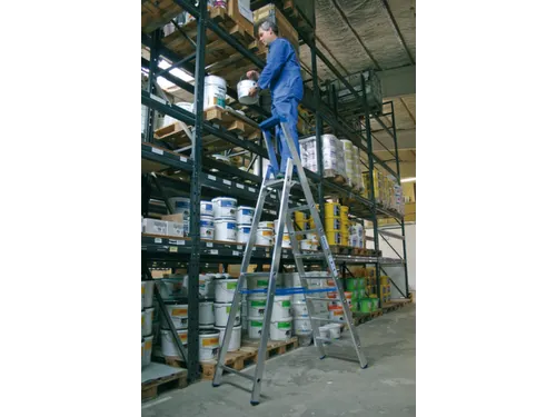 Ladder Aluminium Bordes H 1 90M 8Treden Incl. Bordes