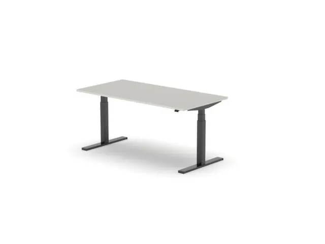 Elektrisch ihv bureau,HxBxD 650-1310x1600x800mm,blad lichtgrijs