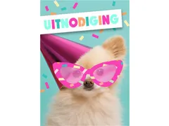 Wenskaart Hallmark uitnodiging hond met zonnebril pak à 5 stuks