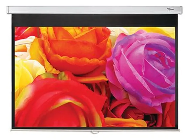 Optoma DS-1095PMG+ projectiescherm 16:10 95 Inch