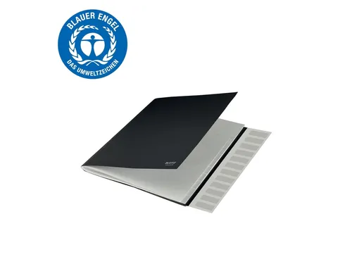 Sorteermap Leitz Recycle 12 vak karton zwart