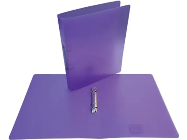 ringmap, voor ft A4, uit PP, 2 ringen van 25mm, transparant paa