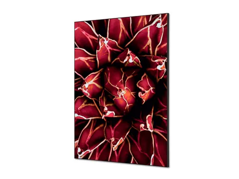 Wanddecoratie Textiel Set A1 Cactus Rood