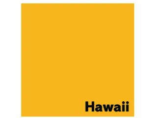 Offset papier Image Coloraction hawaï/goudgeel 80g 450x640mm FSC - 1