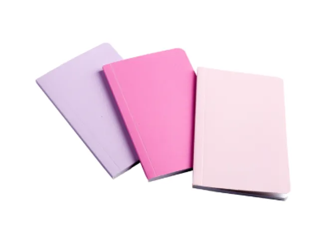 Notitieboek Bruynzeel A6 40vel glitter assorti set van 3 stuks