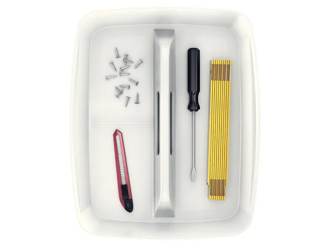 Leitz MyBox WOW Sorteertray met Handvat Wit Groot