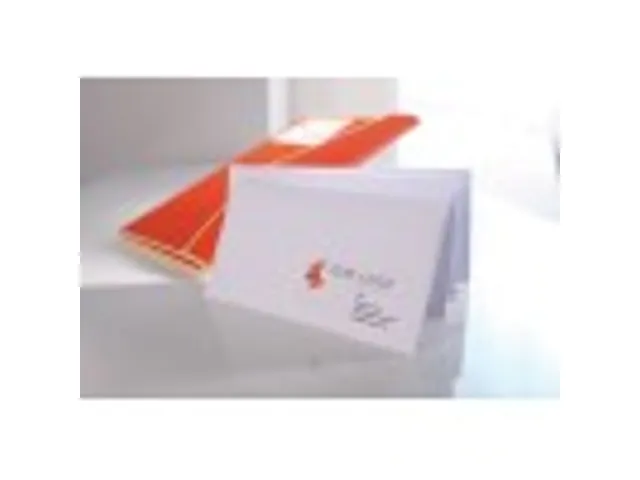 Etiket Avery Zweckform 3483 105x148mm A6 wit 400stuks