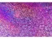 Holografisch karton Kangaro pak 10 vel A4 ass(2) 300 grams mix 2