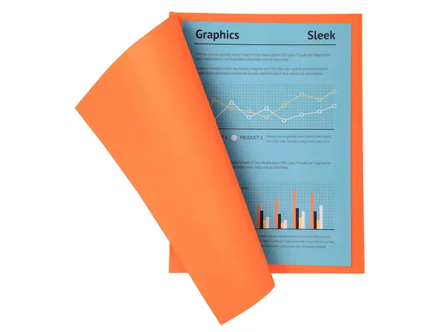 100 dossiermappen SUPER 250 24x32cm Oranje