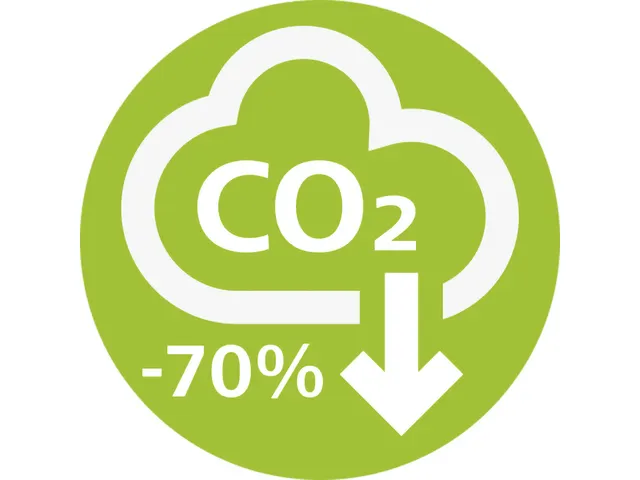 Balpenvulling Schneider Eco zwart 2 stuks op blister