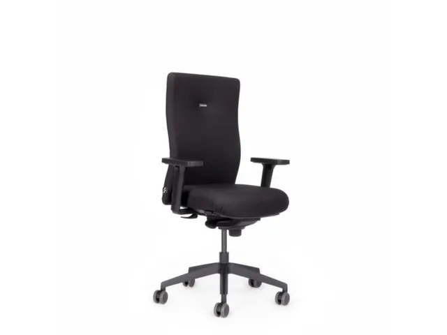 Chaise de bureau Mécanisme synchrone Accoudoirs 2D Assise Tissu Noir
