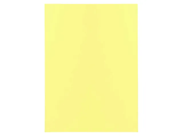 100 inlegmappen SUPER 60 22x31cm Geassorteerd