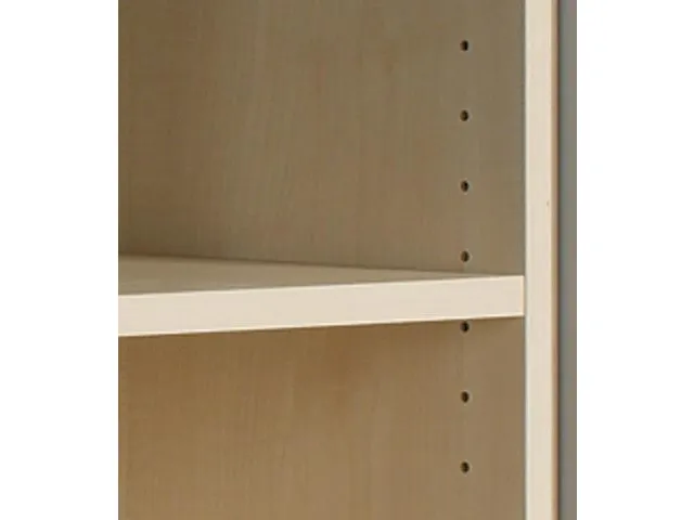 roldeurkast met verticale deur,HxBxD 1030x800x400mm,2xhouten vloer