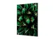 Wanddecoratie Textiel Set A1 Cactus Groen