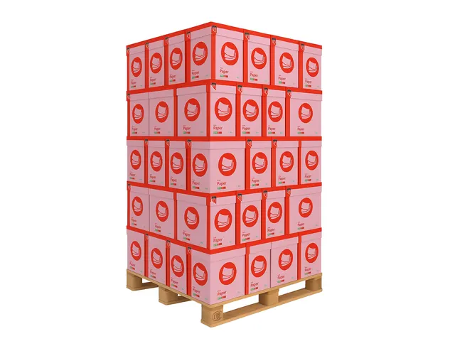 Kopieerpapier Fastprint A4 80 Gram Roze Pallet