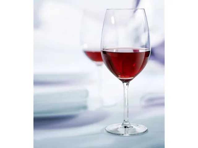 Royal Leerdam l'Esprit du Vin Wijnglas 41cl (6 stuks)