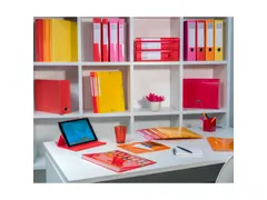 Transportdoos IDERAMA rug 90mm roze