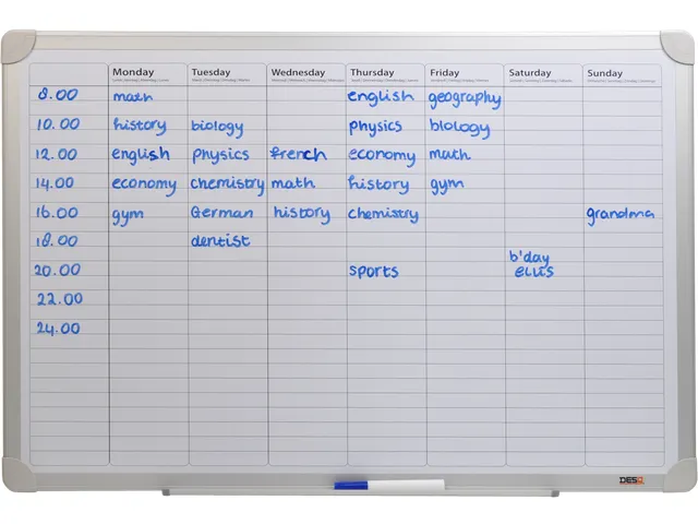 DESQ Whiteboard Weekplanner 60x90cm