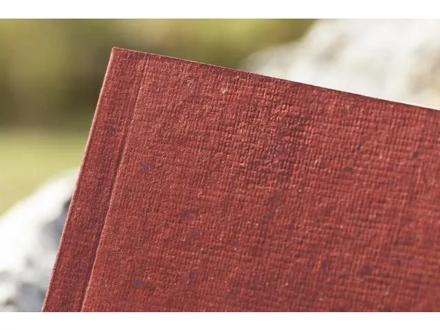 Carnet de notes Re-Up A5 ligne rouge SC 100pag 100g