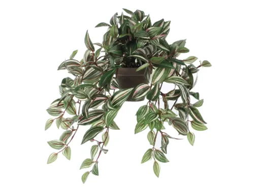 Kunstplant Mica Tradescantia hangend groen 45x25cm