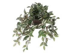 Kunstplant Mica Tradescantia hangend groen 45x25cm