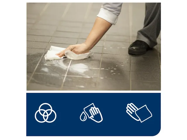 Poetsrol Tork 2-laags Wit 101250 M2 160 Meter