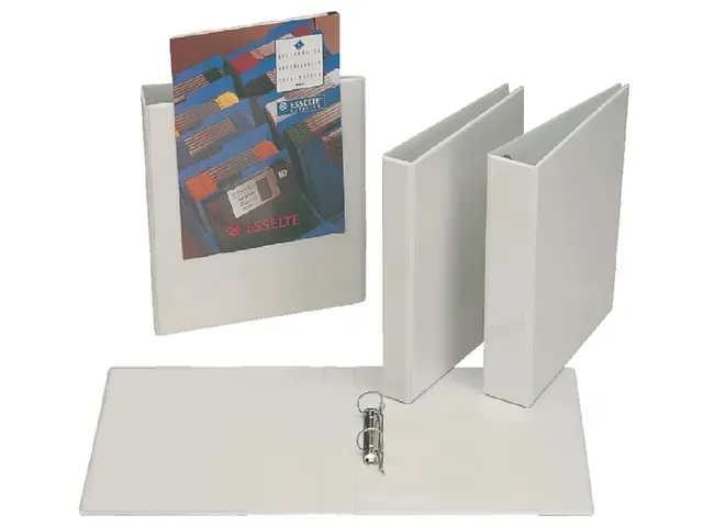 Presentatieringband Esselte A4 2 rings D-mech 20mm wit